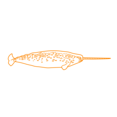 Animals Toothed Whales Narwhal Sticker Outline Svg File, Free Vectors File